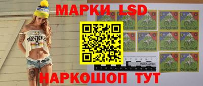 прущие грибы Комсомольск-на-Амуре