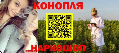 прущие грибы Краснознаменск