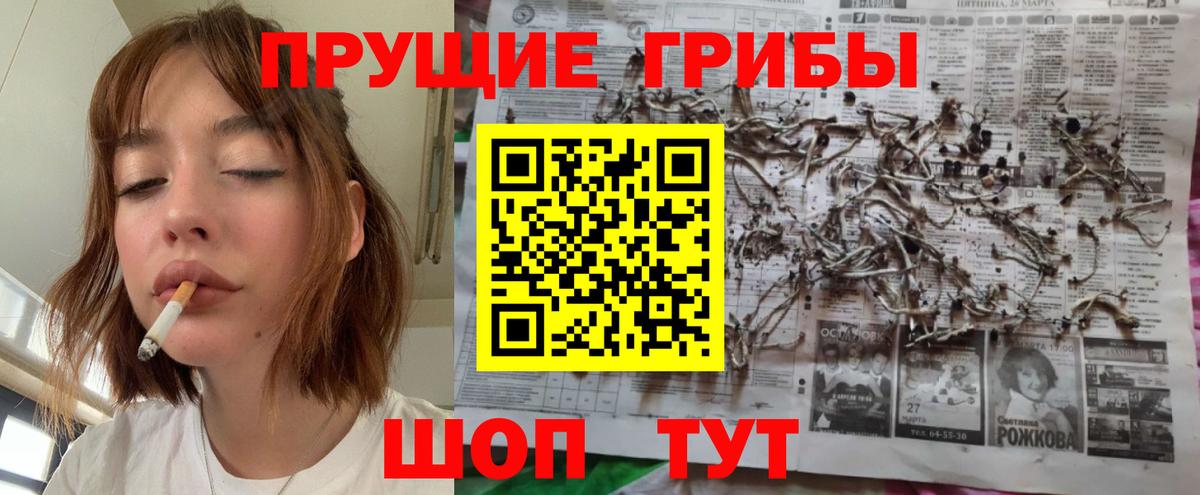 Псилоцибиновые грибы GOLDEN TEACHER Королёв